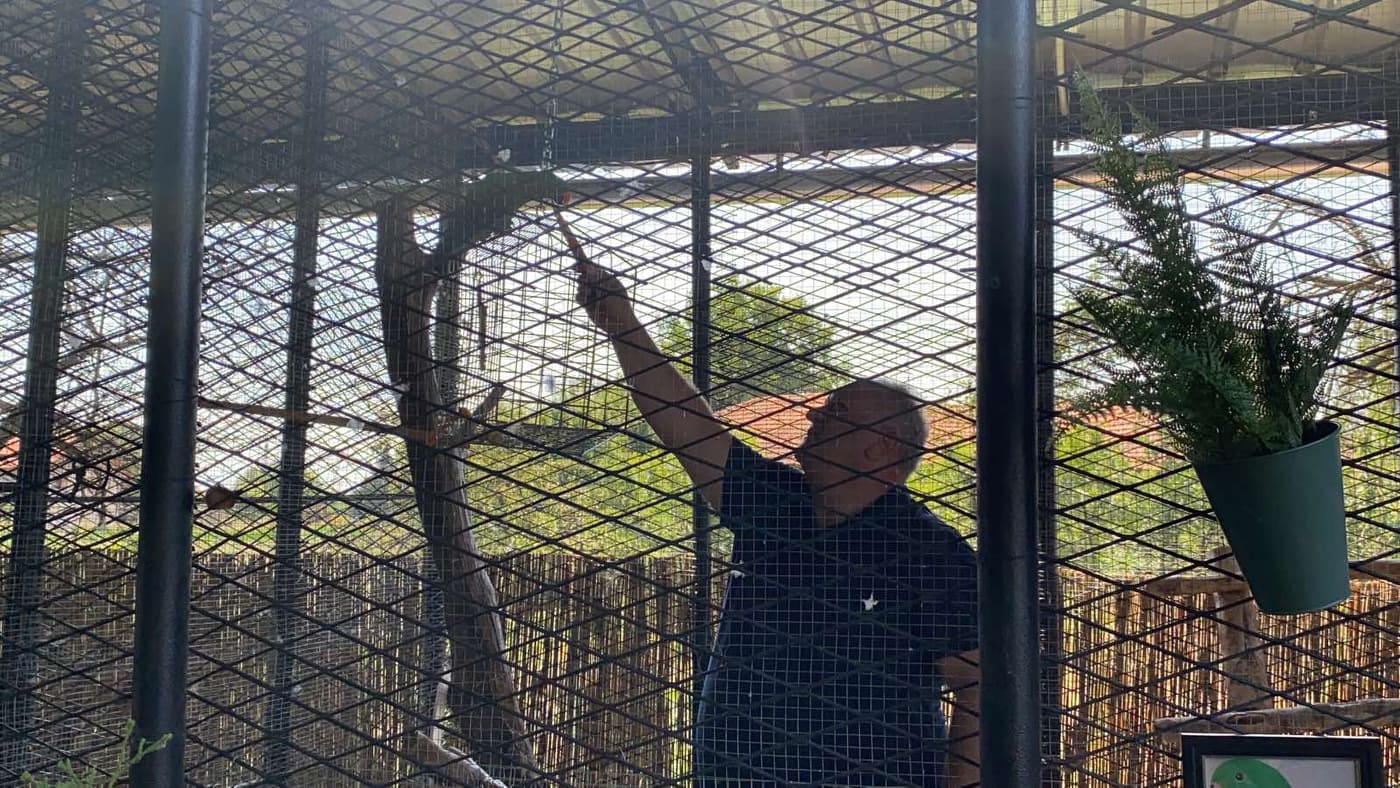 Gradonačelnik Leskovca vodio novinare da im pokaže svoje fazane i papagaje