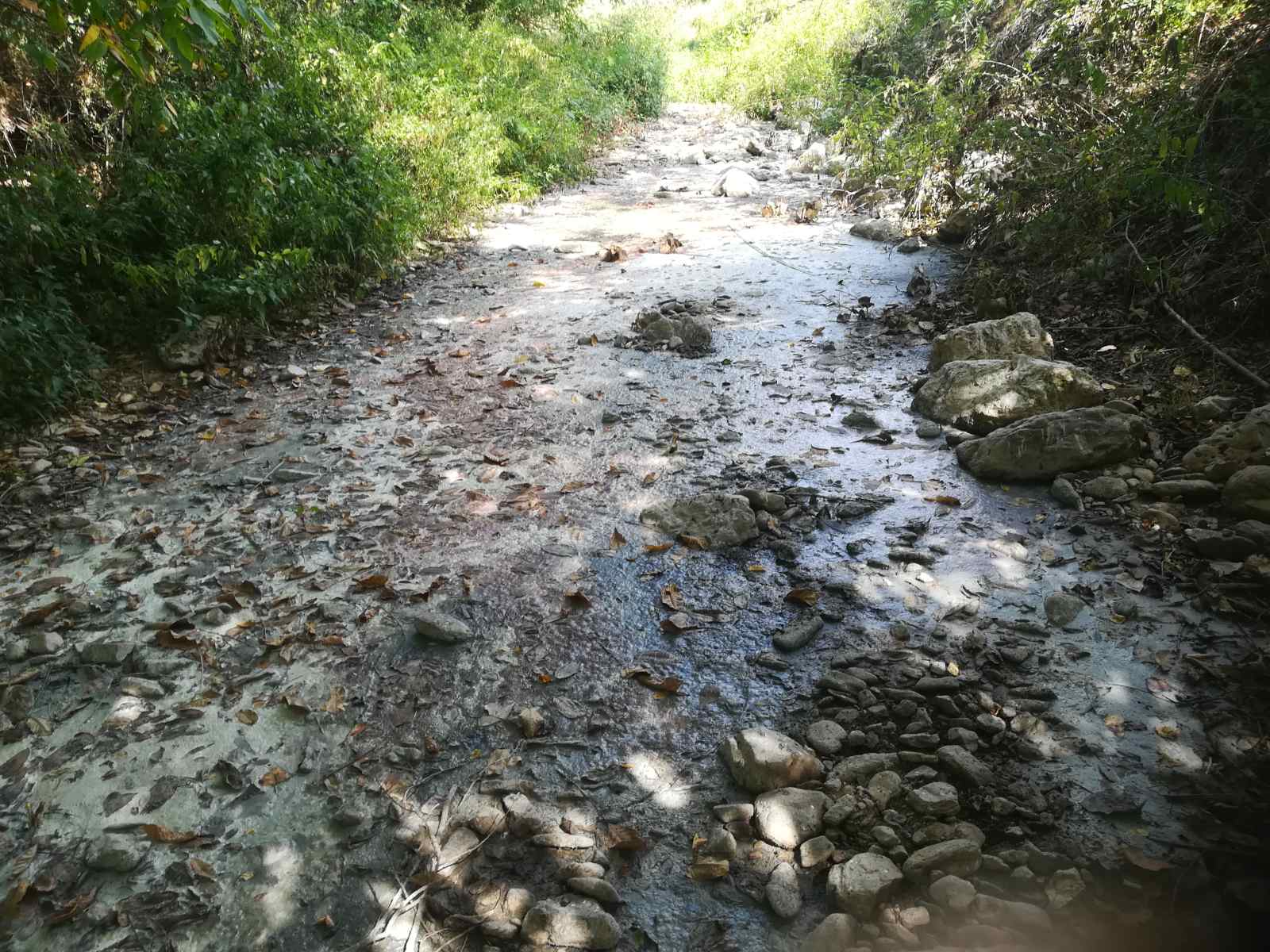 Zbog otpadnih voda reka ostala bez života, a nepodnošljiv smrad se širi selom