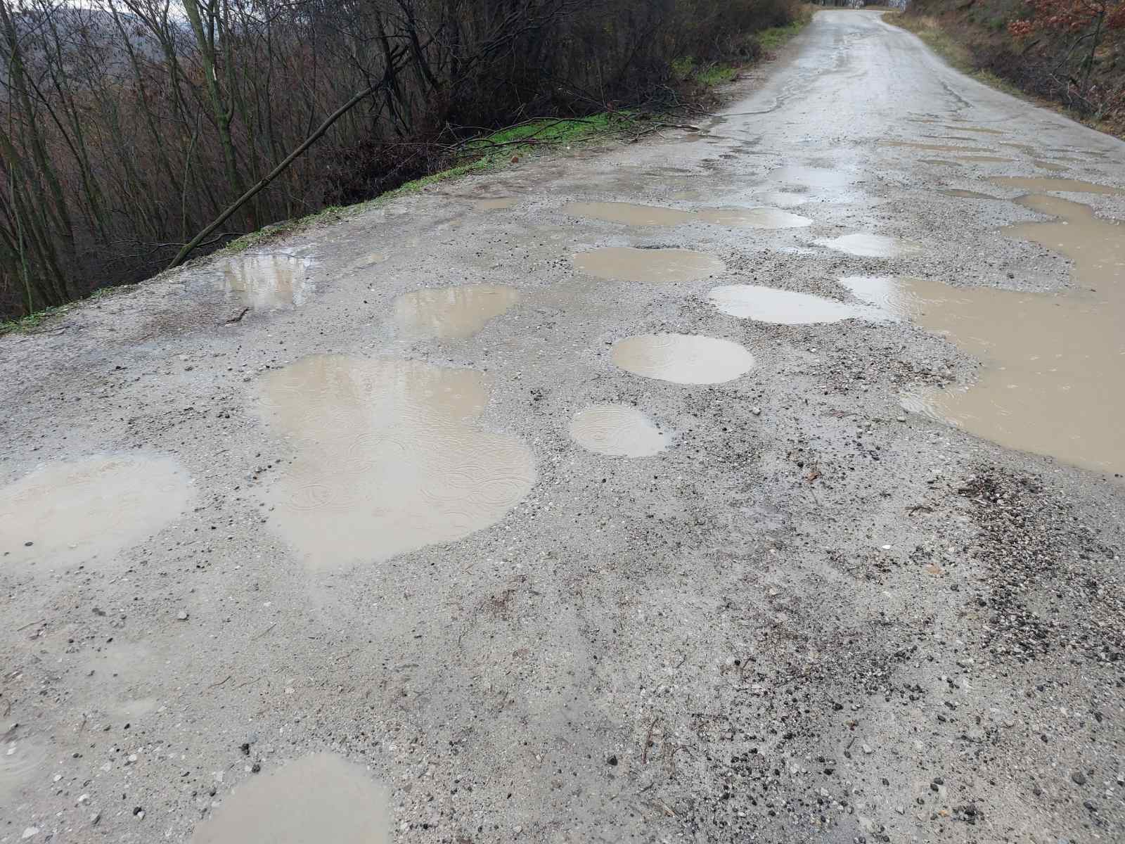 Obećanje ludom radovanje: I dalje bez puta