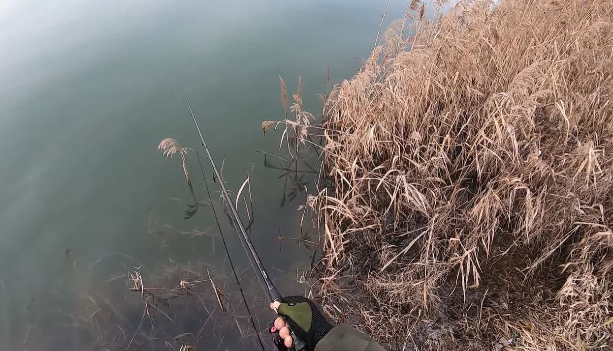 Incident u Jajinskim barama: Nepoznati muškarac repetirani pištolj uperivao u momke koji su pecali na “njegovom mestu”