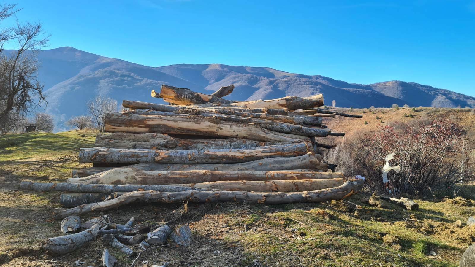Velika krađa privatne i državne šume kod Surdulice, nestali i kamioni sa zaplenjenom građom