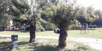 I opet, posle pisanja Rešetke, uklonjena otkinuta grana u parku “Rupe“