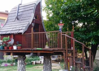 Zelena oaza u centru Leskovca, a u njoj san svakog deteta – kućica na drvetu