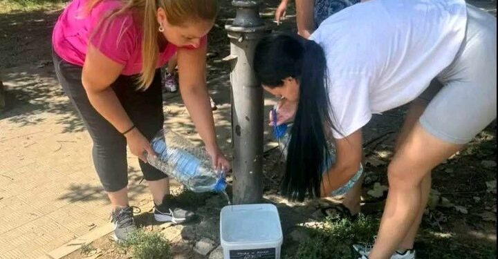 Volonteri postavili činije za napuštene životinje na preko 40 lokacija u gradu