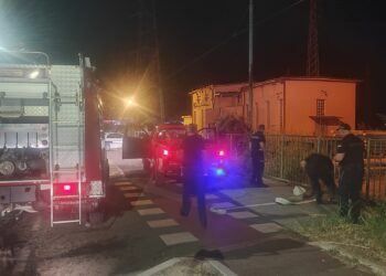 Požar na imanju Elektrodistribucije Leskovac