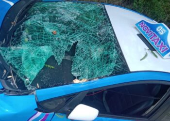 Palo drvo umalo ubilo taksistu u Leskovcu – VIDEO