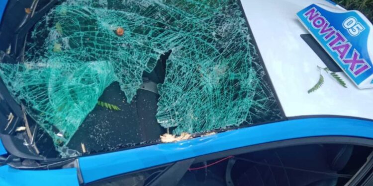 Palo drvo umalo ubilo taksistu u Leskovcu – VIDEO