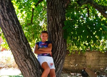 Četiri generacije pod istim hladom: Jedan orah u Vinarcu oduševljava krošnjom do zemlje