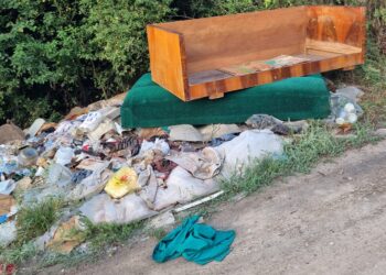 Leskovčani upozoravaju na novu divlju deponiju, nadležni ih savetovali da sami počiste?!