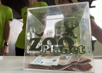 Prikupljaju 15.000 bali sena za više od 200 spašenih životinja – Akciju počeli u Nišu, pa nastavili u Leskovcu