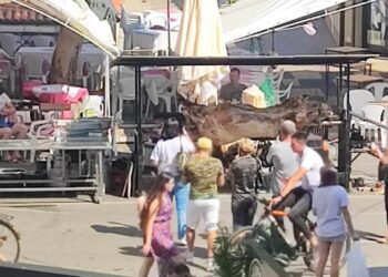 A na Roštiljijadi glavna atrakcija vo na ražnju