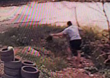 UZNEMIRUJUĆI VIDEO – Vojni starešina ušao komšiji u dvorište i krvnički mu motkom tukao psa do smrti