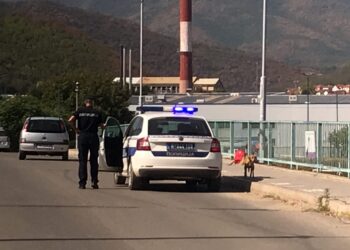 Policajci HEROJI sprečili ženu da skoči s mosta