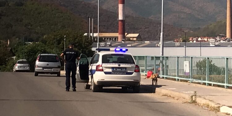 Policajci HEROJI sprečili ženu da skoči s mosta