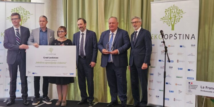 Leskovčani se guše u dimu, a Francuzi grad proglašavaju ekoopštinom