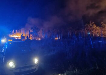 Starac uhapšen jer je u dvorištu palio travu