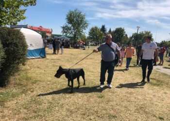 Psi Gorana Cvetanovića ponovo najlepši