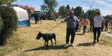 Psi Gorana Cvetanovića ponovo najlepši