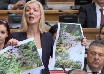 Jelena Milošević: Nećete ni ovde kopati! – VIDEO