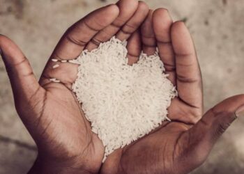 Uprkos negodovanjima, pa i zabranama, običaj bacanja pirinča i žita na mladence i dalje živi