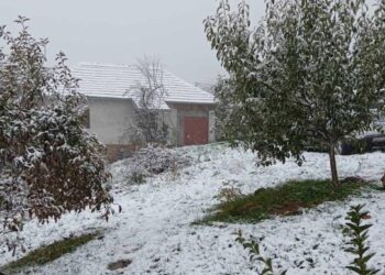 Ovde je noćas pao prvi sneg, a pre samo nedelju dana na istom mestu cvetala džanarika