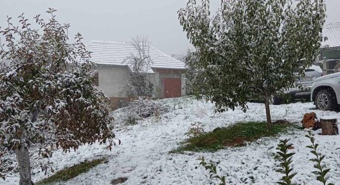 Ovde je noćas pao prvi sneg, a pre samo nedelju dana na istom mestu cvetala džanarika