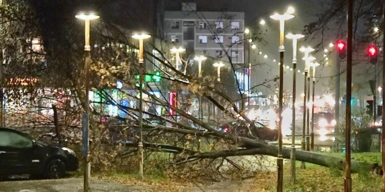 Vetar pravi haos po Leskovcu i čupa drveće, nadležni u pripravnosti