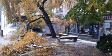 Prvi manji sneg i odmah kolaps, a za slavu umesto praseta kobasice