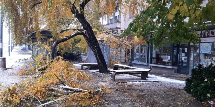 Prvi manji sneg i odmah kolaps, a za slavu umesto praseta kobasice