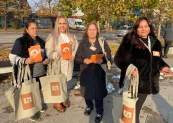 Od početka godine u porodičnom nasilju ubijeno 17 žena