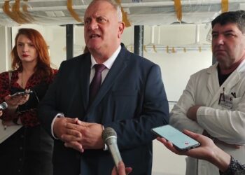 Gradonačelnik tvrdi da na evidenciji zapošljavanja u Leskovcu nema nezaposlenih doktora sa položenim stručnim ispitom
