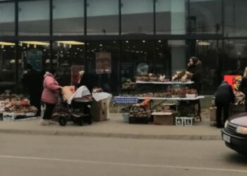 Počela prodaja badnjaka, cene od 100 do 300 dinara zavisno od aranžmana