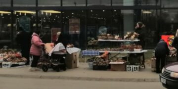 Počela prodaja badnjaka, cene od 100 do 300 dinara zavisno od aranžmana
