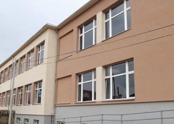 Sednica nastavničkog veća u OŠ „Vuk Karadžić“ tajno snimana telefonom i prosleđena centrali SNS-a, tvrde nastavnici