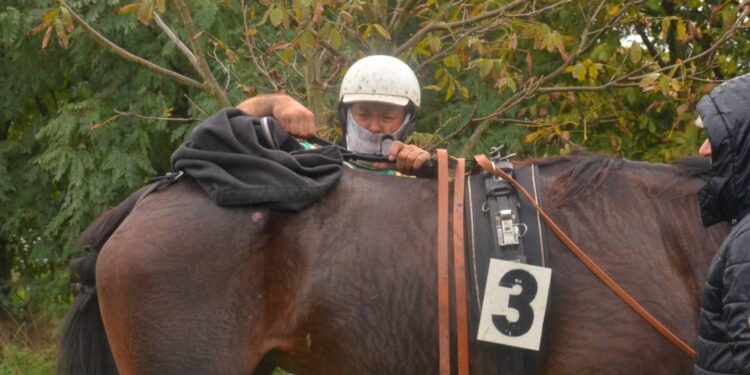 Konjičkom klubu u Leskovcu preti gašenje? Predsednik pod istragom da je proneverio pola miliona dinara