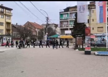 Jake policijske snage ispred opštine Vlasotince, pred početak sednice Skupštine – VIDEO