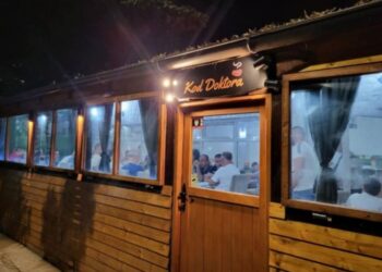 Restoran „Kod Doktora“ organizuje humanitarnu žurku za pomoć Teodori Đokić