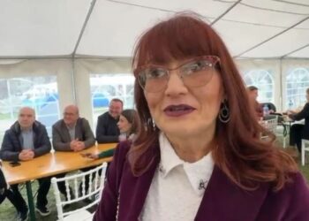 Profesorka sa Tehnološkog fakulteta u Leskovcu otišla za Beograd da podrži „studente“ koji su protiv blokada