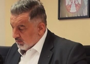 Stamenković demantuje izjave ekološkog aktiviste o dešavanjima 15. marta u Vlasotincu