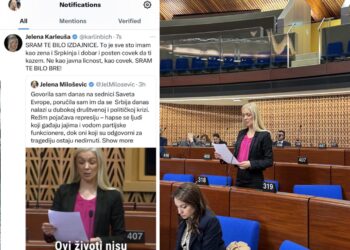 Jelena Karleuša napala narodnu poslanicu iz Niša zbog govora u Savetu evrope