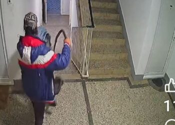 I za lopove došlo vreme „Daj šta daš“, pa makar to bila i dečja kolica