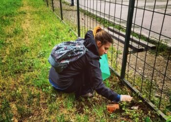 “Lele….Lamele“-akcija čišćenja naselja u organizaciji Tim-a 42