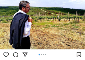 Prskanjem protiv korova radnici na plantažama „Milenijum tima“ u Donjem Stopanju uništili skoro sve okolne vinograde?!