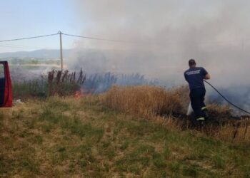 Ponovo požar na otvorenom u okolini Leskovca, gorelo nisko rastnje i zasadi pšenice
