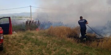 Ponovo požar na otvorenom u okolini Leskovca, gorelo nisko rastnje i zasadi pšenice