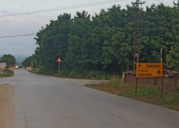 Ako se ne postave usporivači, na raskrsnici kod Guberevca će ponovo neko nastradati