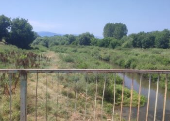 Leskovčani skupljaju potpise za uklanjanje zmijarnika od Hemijske škole prema zatvoru