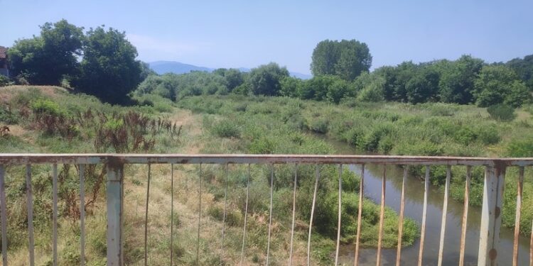 Leskovčani skupljaju potpise za uklanjanje zmijarnika od Hemijske škole prema zatvoru