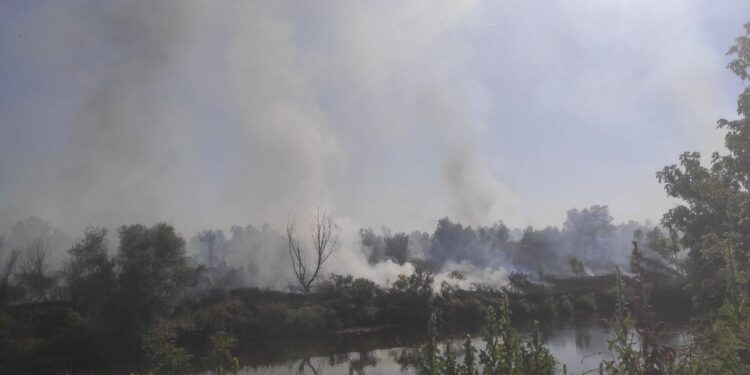 Gorelo priobalje Južne Morave pored auto-puta kod Leskovca, nadležni apeluju na savest i opreznost
