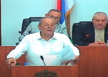 Cakić: Grad Leskovac ili kreće u prodaju nekog javnog preduzeća ili uzima novi kredit